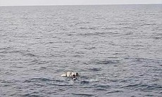 Tìm thấy thi thể ngư dân mất tích sau nhiều ngày tìm kiếm