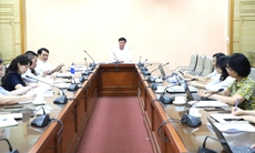 Cập nhật văn bản pháp luật mới vào dự thảo Quy chuẩn giới hạn ô nhiễm độc tố vi nấm trong thực phẩm