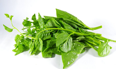 5 vị thuốc quen thuộc giúp giảm nóng trong, táo bón mùa hè