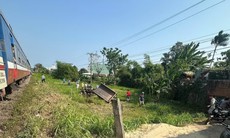 Kịp thời phát hiện cây đổ chắn đường sắt, tàu khách dừng khẩn cấp