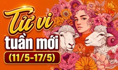 Tử vi tuần mới 12 cung hoàng đạo 11-17/5: Thiên Bình nổi bật, Bạch Dương may mắn