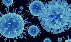 Hơn 1.700 người bị cách ly trên du thuyền sau khi 1 trường hợp tử vong do nghi nhiễm norovirus