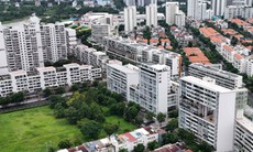 Bất động sản Việt Nam trước yêu cầu vận hành chuẩn quốc tế