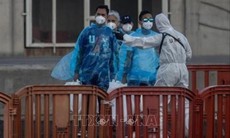 Virus Hanta: Nhiều nước giám sát chặt hành khách liên quan ổ dịch trên du thuyền