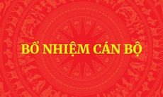 Điều động, bổ nhiệm Trợ lý Thủ tướng và Trợ lý Phó Thủ tướng Thường trực Chính phủ