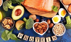 Điều gì xảy ra khi bổ sung protein quá nhiều ?