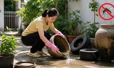 Vì sao sốt xuất huyết tăng mạnh vào mùa hè?
