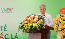 Khói thuốc lá không thể tồn tại trong không gian của sự chữa lành