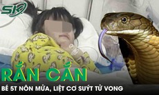 Rắn cắn khi đang ngủ, bé gái 5 tuổi nôn mửa, liệt cơ suýt tử vong
