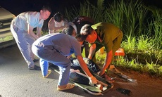 Cảnh sát 113 đưa 2 thanh niên bất tỉnh sau tai nạn giao thông đi cấp cứu trong đêm