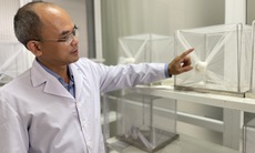Chuyên gia cảnh báo nguy cơ dịch bệnh do muỗi truyền, người dân không được chủ quan