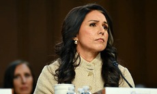 Giám đốc Tình báo Quốc gia Mỹ Tulsi Gabbard từ chức vì lý do sốc