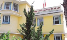 Địa ốc Đà Lạt bị phạt hơn 177 triệu đồng vì vi phạm chứng khoán