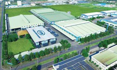 SHS khuyến nghị tăng tỷ trọng cổ phiếu BMP