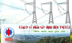 Ủy ban Chứng khoán Nhà nước xử phạt VNECO2