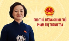 Phó Thủ tướng Phạm Thị Thanh Trà làm Trưởng BCĐ quốc gia về phát triển ngành Dược Việt Nam