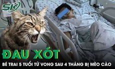 Đau xót: Bé trai 5 tuổi tử vong sau 4 tháng bị mèo cào 