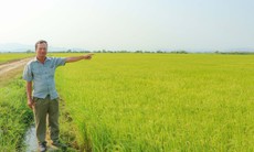 Kỳ lạ: Khu đất ở làng gốm Chăm Bàu Trúc múc lên rồi lại tự đầy