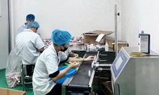 Công an Hải Phòng triệt phá cơ sở sản xuất hàng giả số lượng lớn