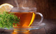 Uống lá đinh lăng hàng ngày có tốt không?