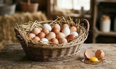 Trứng gà vỏ nâu tốt hơn và ít cholesterol hơn trứng gà vỏ trắng?