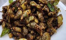Bộ Y tế yêu cầu xác minh, xử lý vụ 9 người nhập viện sau khi ăn ve sầu ở Quảng Trị