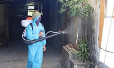 Xuất hiện thêm ổ dịch sốt xuất huyết, Hà Tĩnh tăng tốc phòng chống
