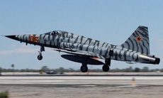 Vì sao Hải quân Mỹ buộc phải cho loạt tiêm kích F-5 Tiger II 'về hưu'?