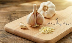Ăn tỏi đúng cách để kích hoạt hợp chất ngăn ngừa ung thư