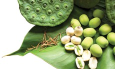 Ăn hạt sen hàng ngày có tốt không?
