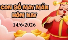 Con số may mắn hôm nay 14/6 - số tài lộc 12 con giáp theo năm sinh