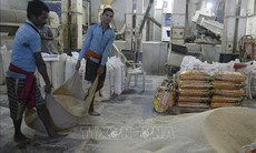 Thị trường nông sản: Giá cà phê thế giới phục hồi ấn tượng sau nhịp giảm