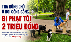 Thả rông chó ở nơi công cộng bị phạt tới 2 triệu đồng