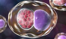 Những dấu hiệu cảnh báo nhiễm khuẩn Chlamydia gây nguy cơ vô sinh