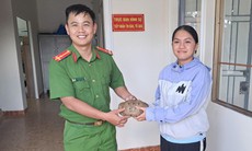 Phát hiện rùa núi vàng trong vườn, nữ sinh ở Lâm Đồng mang đến cơ quan công an