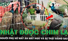 Nhặt được ‘cặp chim lạ’ bên đường, người phụ nữ mất ăn mất ngủ vì phát hiện nguồn gốc đặc biệt
