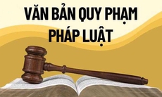 Kiểm điểm, xử lý trách nhiệm trường hợp nợ văn bản kéo dài