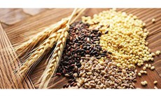 Người sau 50 tuổi nên duy trì 5 nguyên tắc ăn uống này để khỏe mạnh khi về già