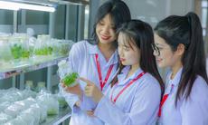 Chi tiết danh mục 111 ngành học được cấp học bổng mới nhất