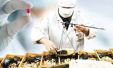 Thuốc y học cổ truyền mới chiếm hơn 5% chi BHYT, đề xuất mở rộng danh mục thanh toán