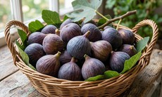Cách ăn quả sung giúp giảm cân