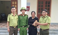 Kịp thời cứu hộ voọc con đi lạc vào vườn nhà dân
