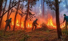 Liên tiếp 2 vụ cháy rừng, nhà dân ở Huế