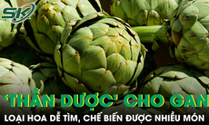 Loại hoa được ví như 'thần dược' cho gan, chế biến được nhiều món ngon