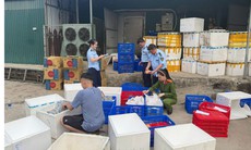 Khởi tố Giám đốc bán hàng chục nghìn sản phẩm thực phẩm giả