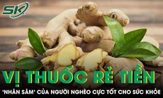 Vị thuốc rẻ tiền được ví như 'nhân sâm' của người nghèo cực tốt cho sức khỏe