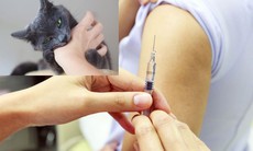 Nguy cơ bệnh dại gia tăng mùa nắng nóng, cần tiêm phòng ngay khi bị chó mèo cắn
