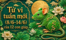 Tử vi tuần mới 12 con giáp 8/6 - 14/6: Thìn cải thiện, Hợi biến động đan xen