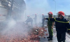 Xe tải chở nông sản bốc cháy dữ dội trên cao tốc