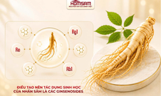 Homsam, nhân sâm đăng ký dạng thuốc